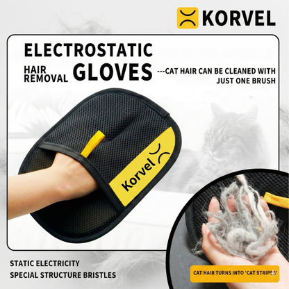 Erase Pet Hair Like Magic in Seconds, Not Minutes